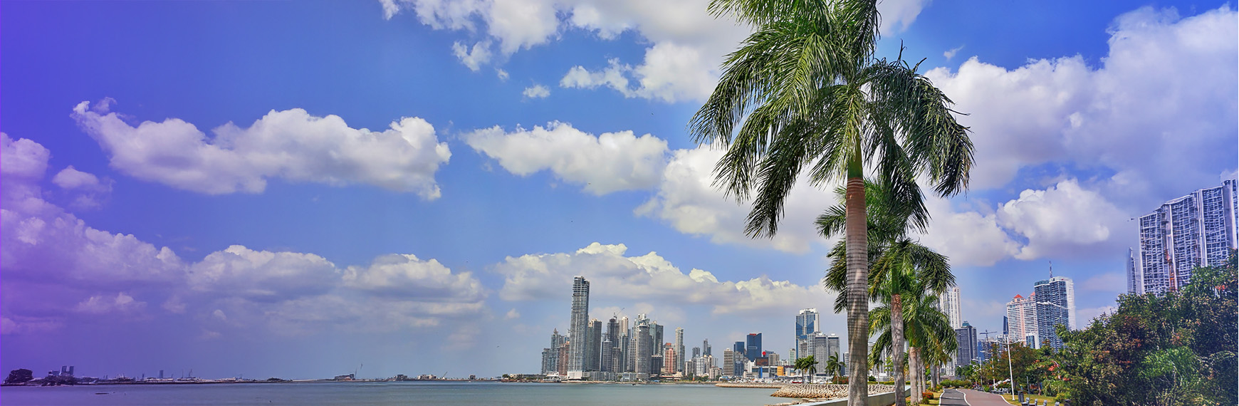 Symbolbild zu Steueroasen: Palmen mit Skyline von Panama City