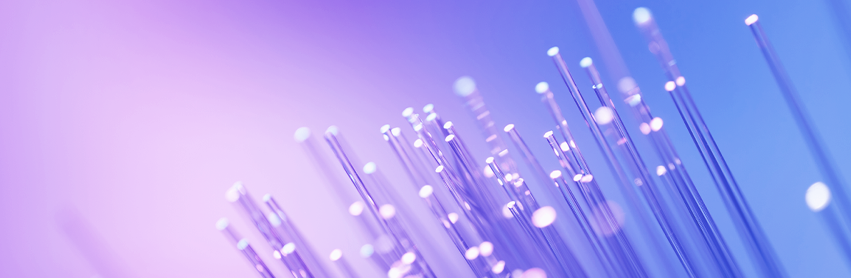 Symbolbild zu IPCEI-AI: Fiberoptik